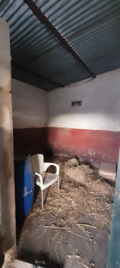 Finca rústica en venda en Los Barrios amb Jardí privat, Piscina i Moblat