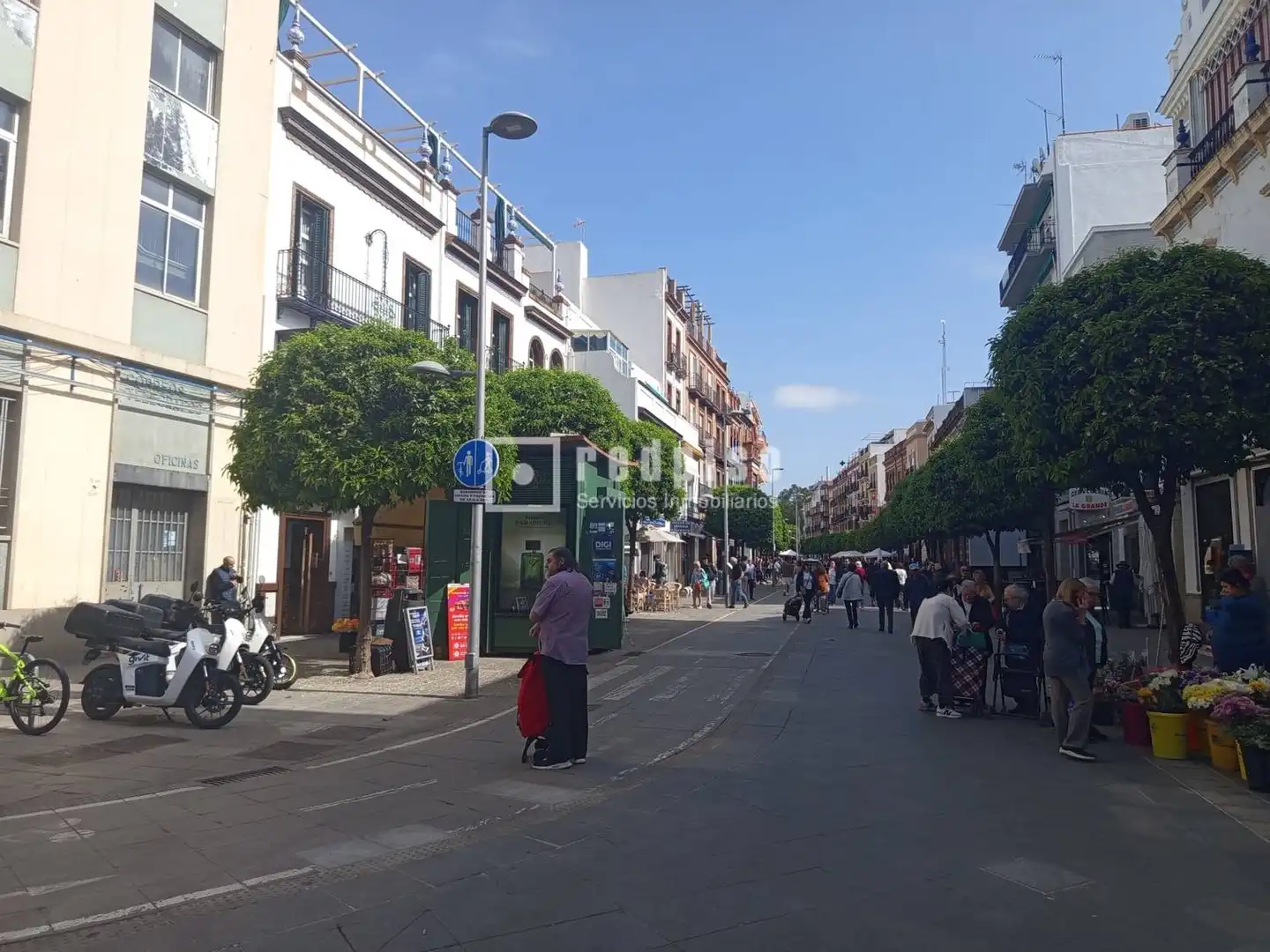 Pis en venda a Alfarería, Triana Casco Antiguo