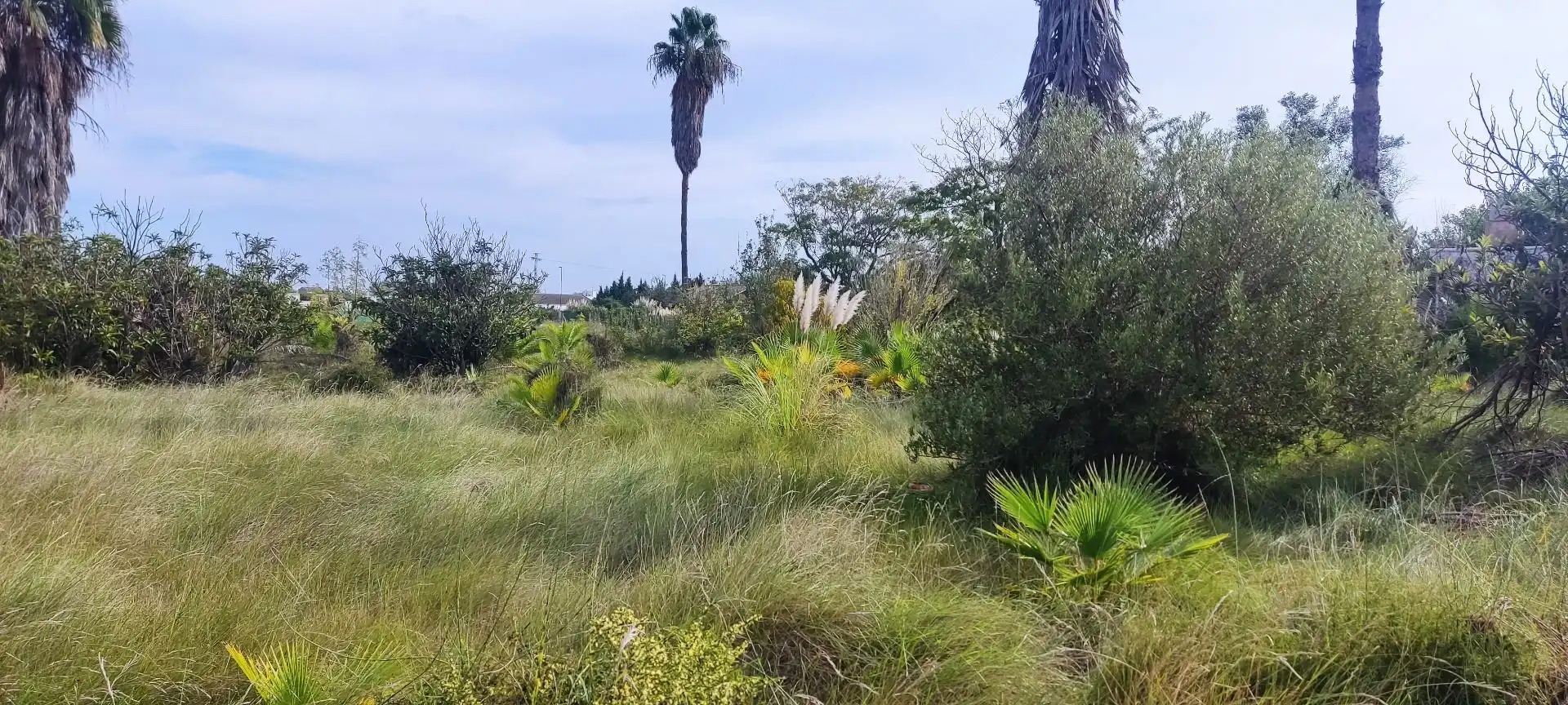 Finca rústica en venta en Sueca