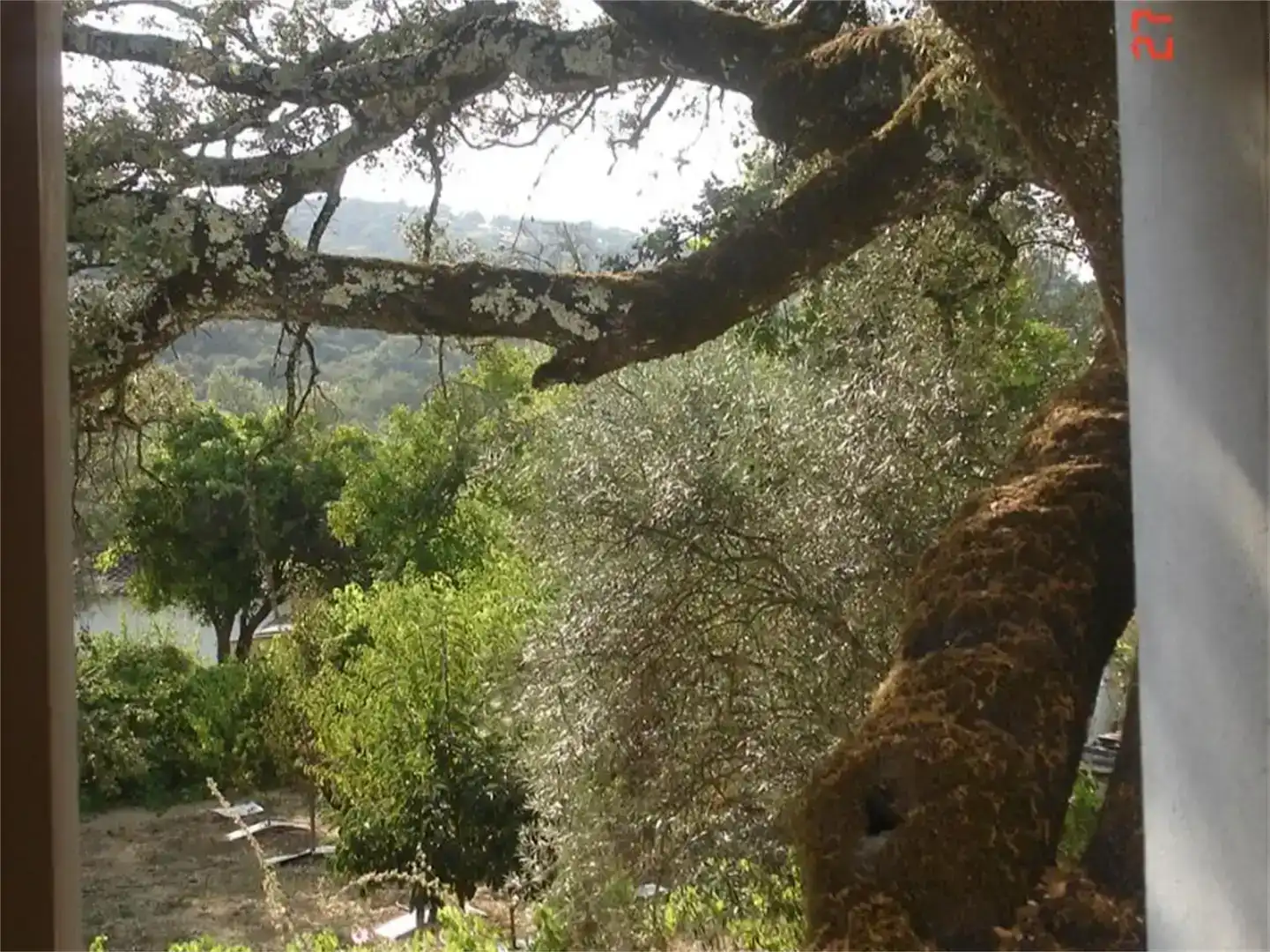Jardí de Casa o xalet en venda en Almonaster la Real amb Aire condicionat, Piscina i Balcó