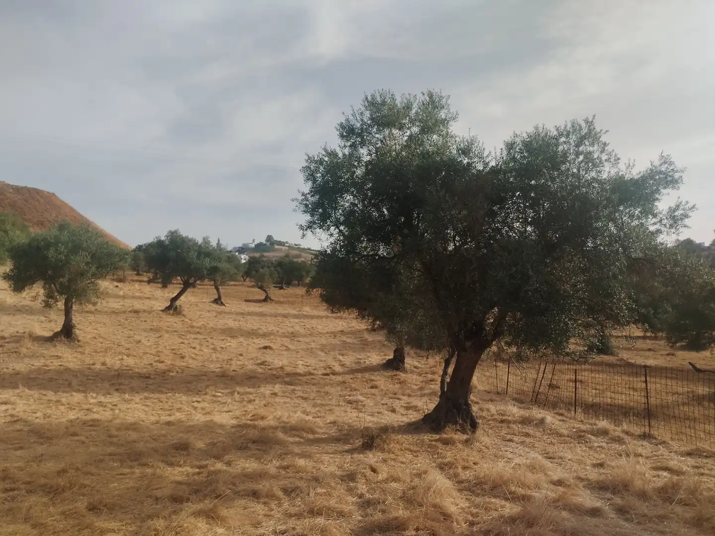 Terreni e lotti in vendita a Jerez de los Caballeros, imagen 9