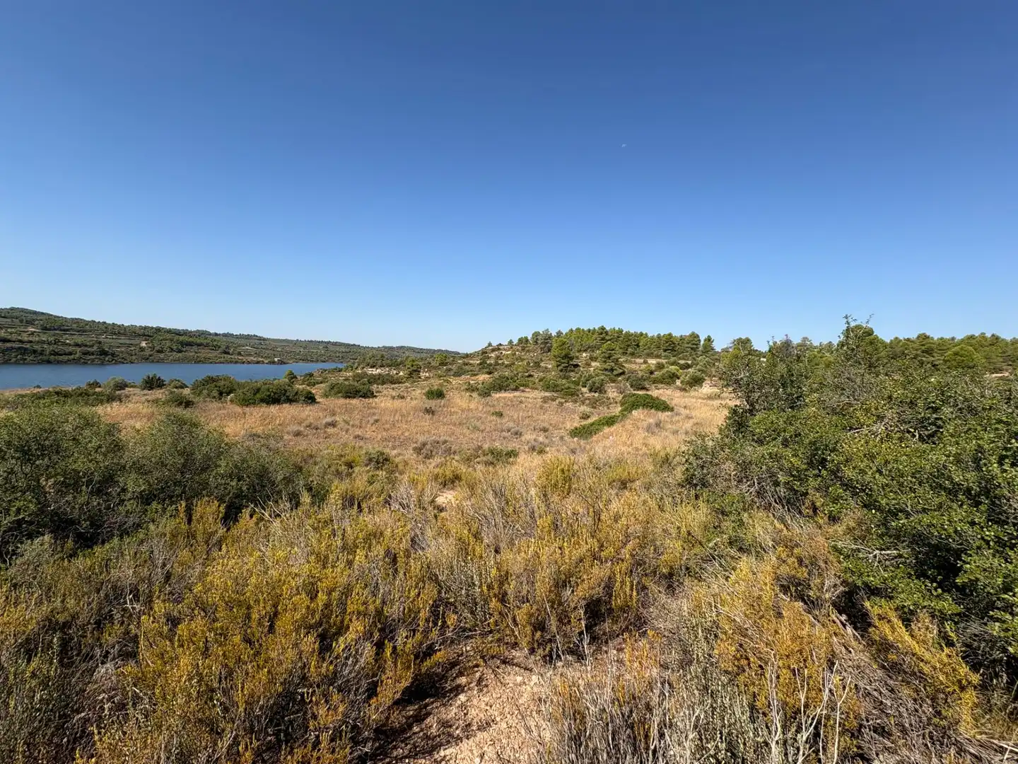 Terreno rustico in vendita a Cervià de Les Garrigues, imagen 21
