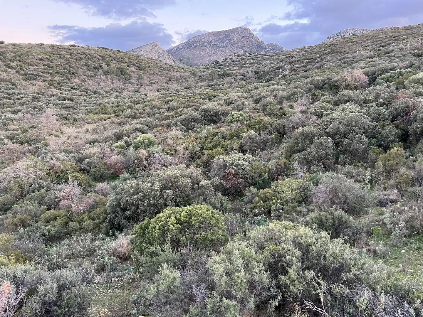 Terreno en venta en Jaén