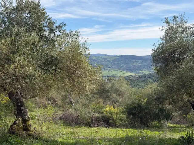 Land for sale in Ubrique