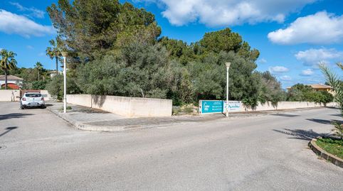 Foto 2 de Terreno en venta en Son Serra de Marina, Santa Margalida