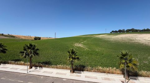Foto 5 de Piso en venta en San José del Valle, Cádiz