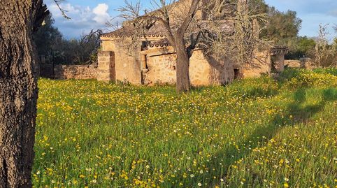 Foto 5 de Finca rústica en venda a Algaida, Illes Balears