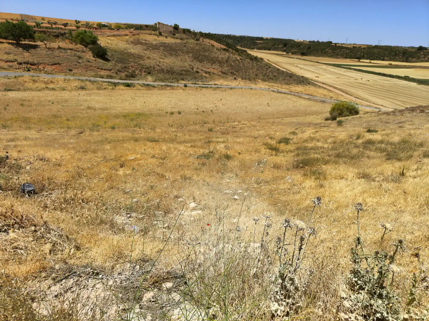 Terreni e lotti in vendita a Vallhermoso de la Fuente, imagen 37