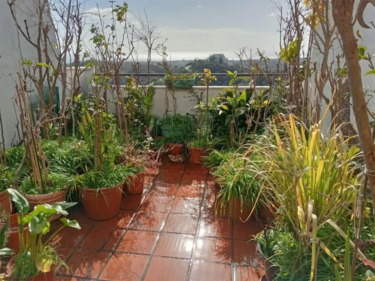 Terrace of Flat for sale in Estepona  with Swimming Pool