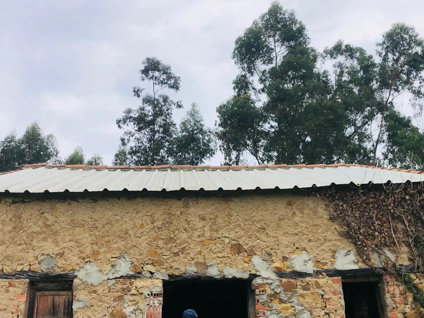 Vista exterior de Casa o chalet en venta en Piélagos