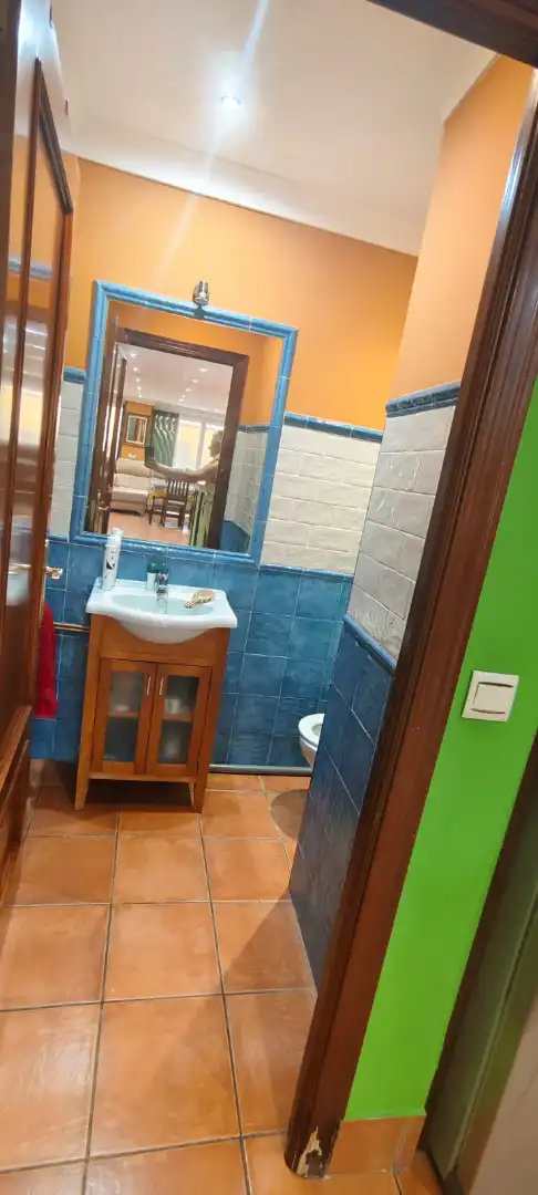 House with terrace for sale in Calle Teresa de Calcuta, imagen 7