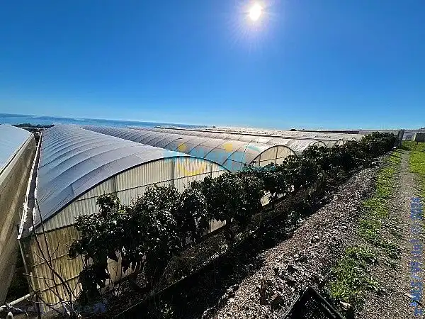 Terrenys i solars en venda a Algarrobo pueblo, imagen 13