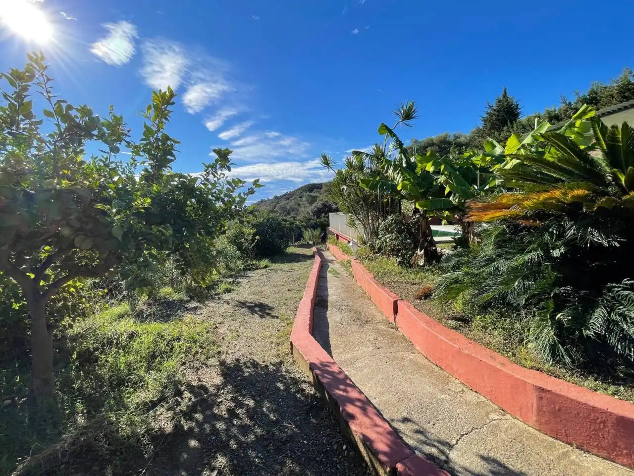 Vista exterior de Finca rústica en venta en Estepona con Jardín privado y Piscina