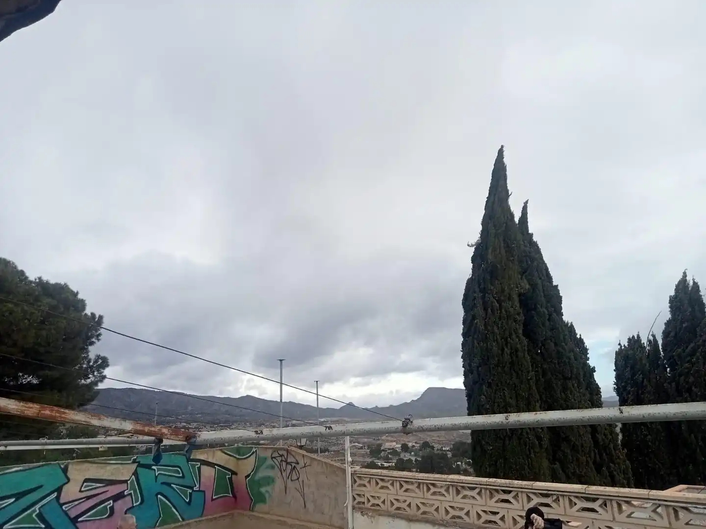 Vista exterior de Casa o chalet en venta en Monóvar  / Monòver con Jardín privado, Terraza y Trastero