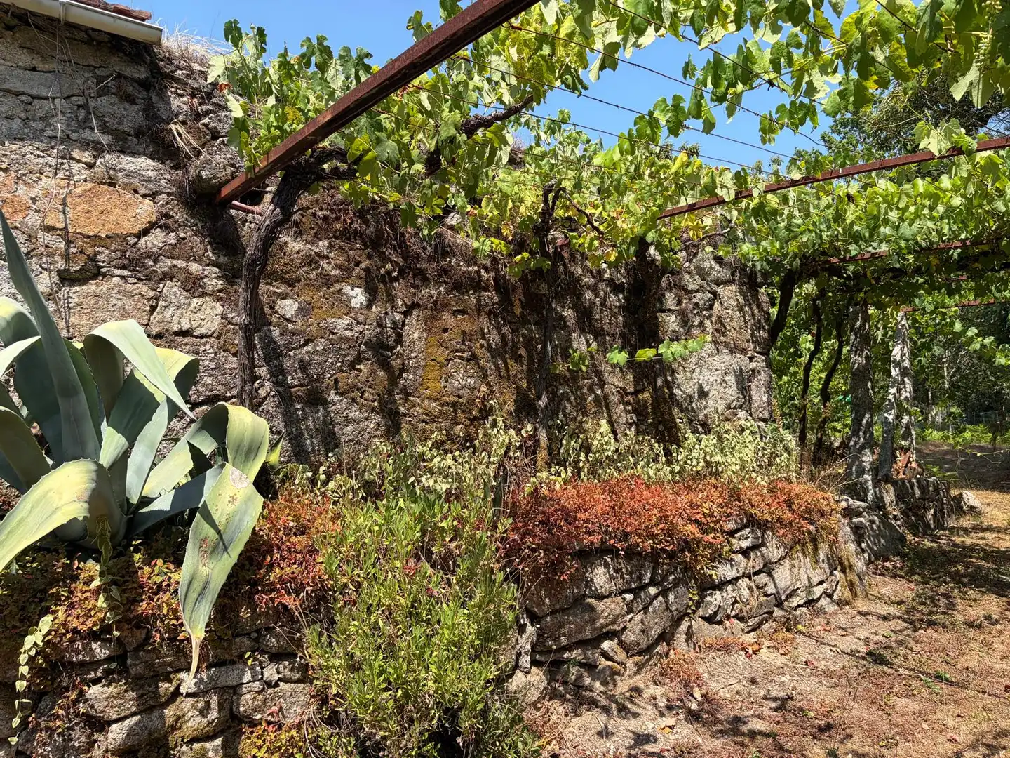 Jardí de Casa o xalet en venda en Salvaterra de Miño amb Jardí privat i Parquet