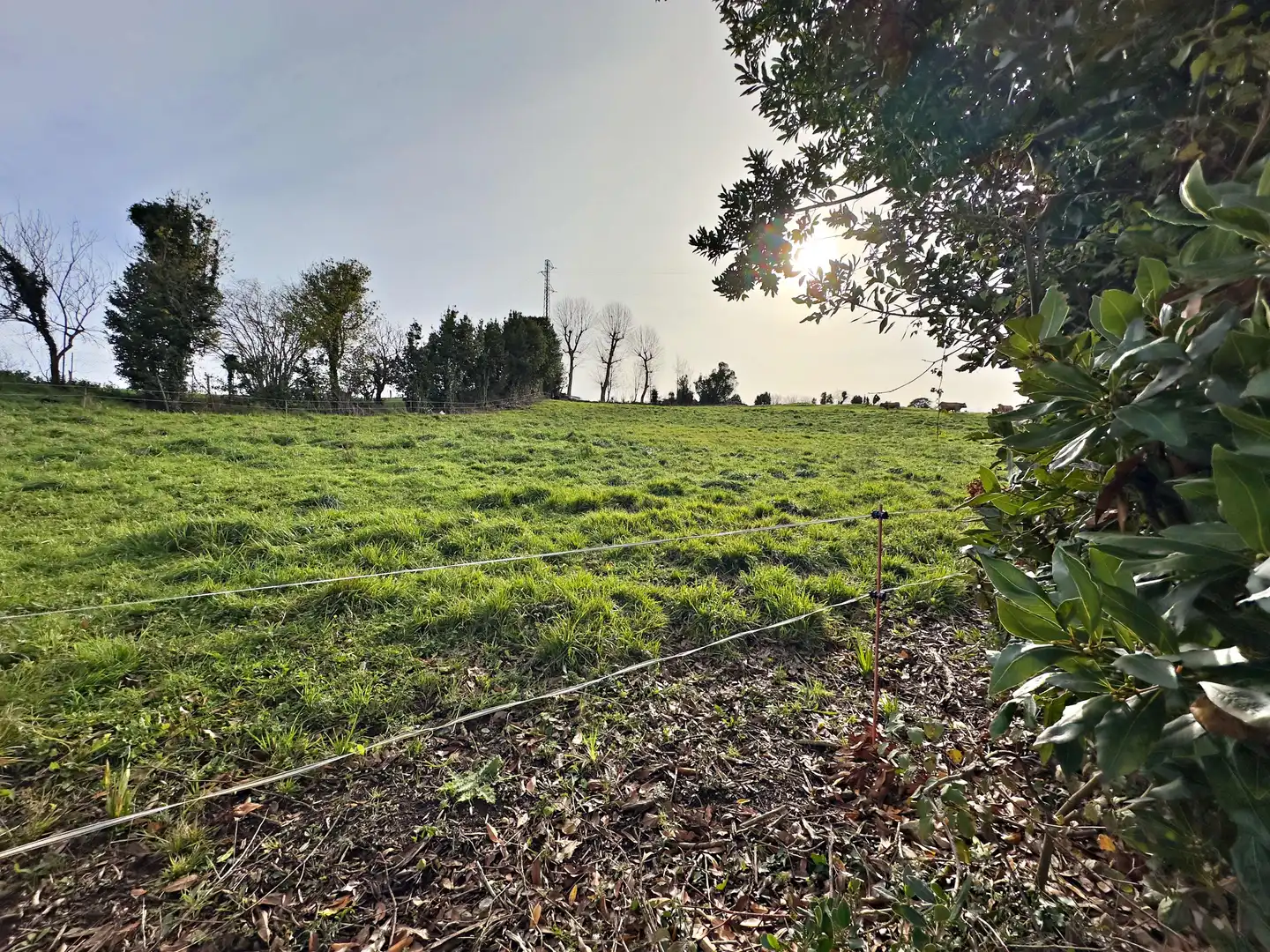 Terreno residenziale in vendita a Rural, imagen 6