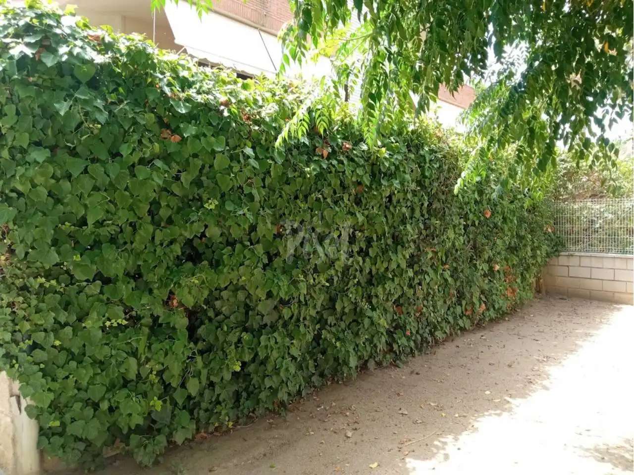 Appartamento con piscina in vendita a Centre, imagen 36