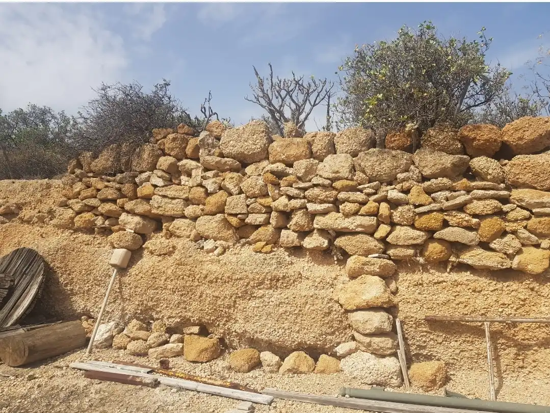 Rural land for sale in Calle Tambora de Abajo 44, imagen 19