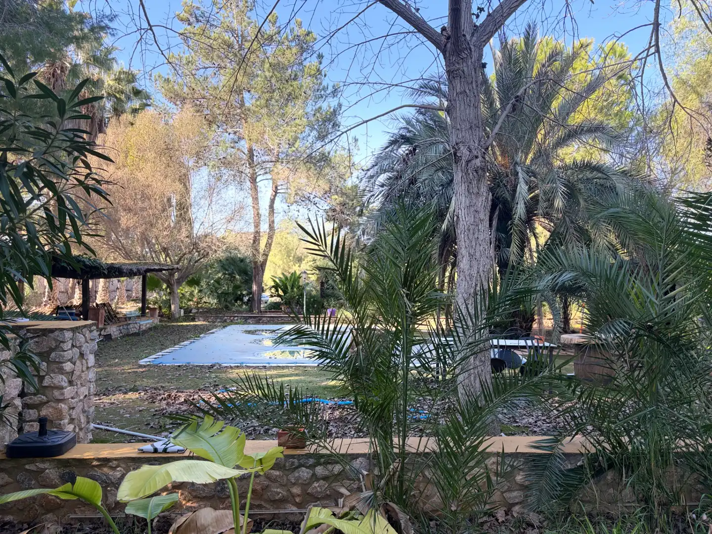 Lands and plots for sale in Abanilla, imagen 9