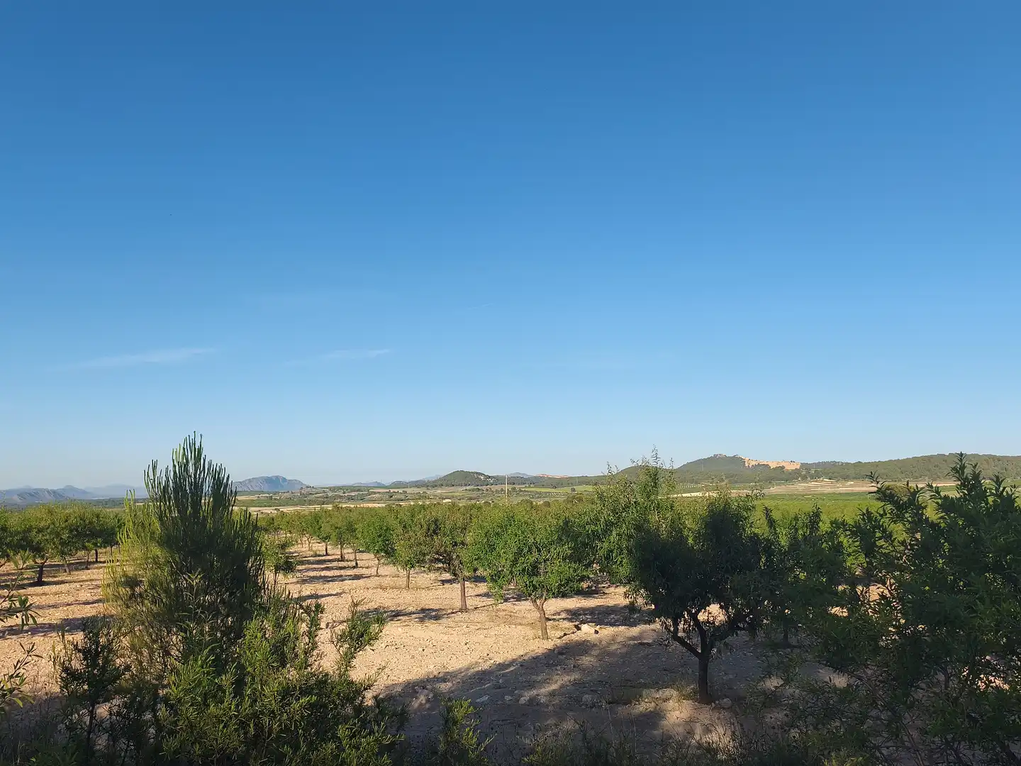 Terreny rústic en venda a Moratalla, imagen 9