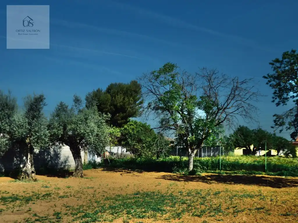 Jardí de Casa o xalet en venda en Mejorada del Campo amb Aire condicionat i Piscina