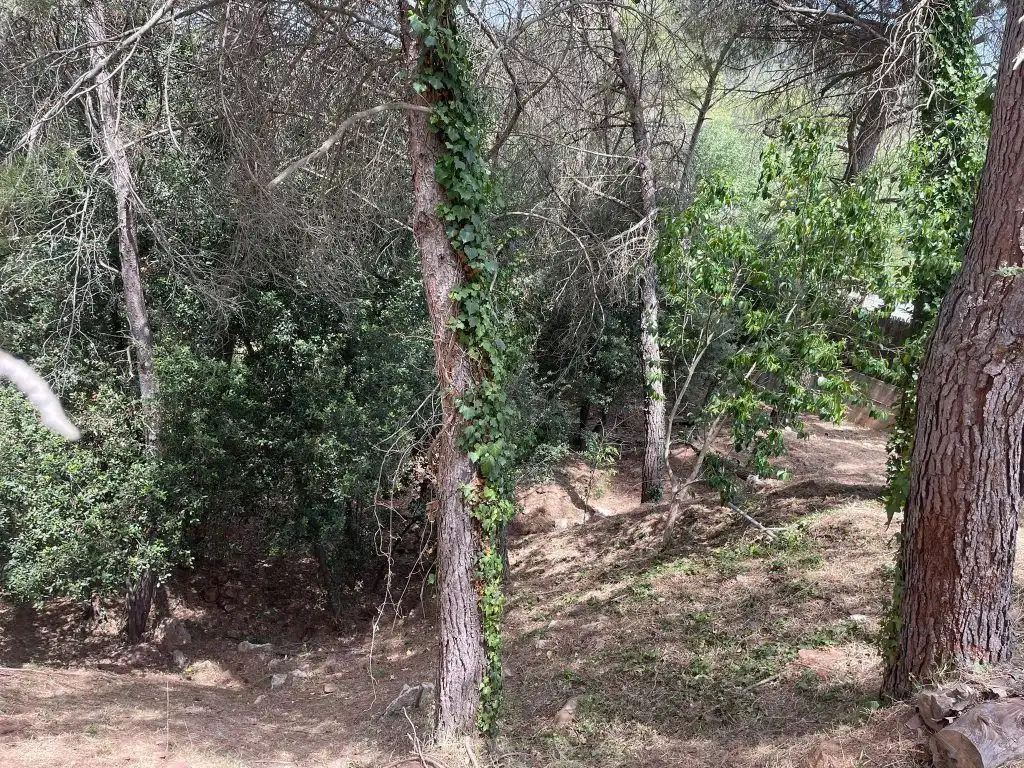 Terrain résidentiel à vendre à Matadepera, imagen 5