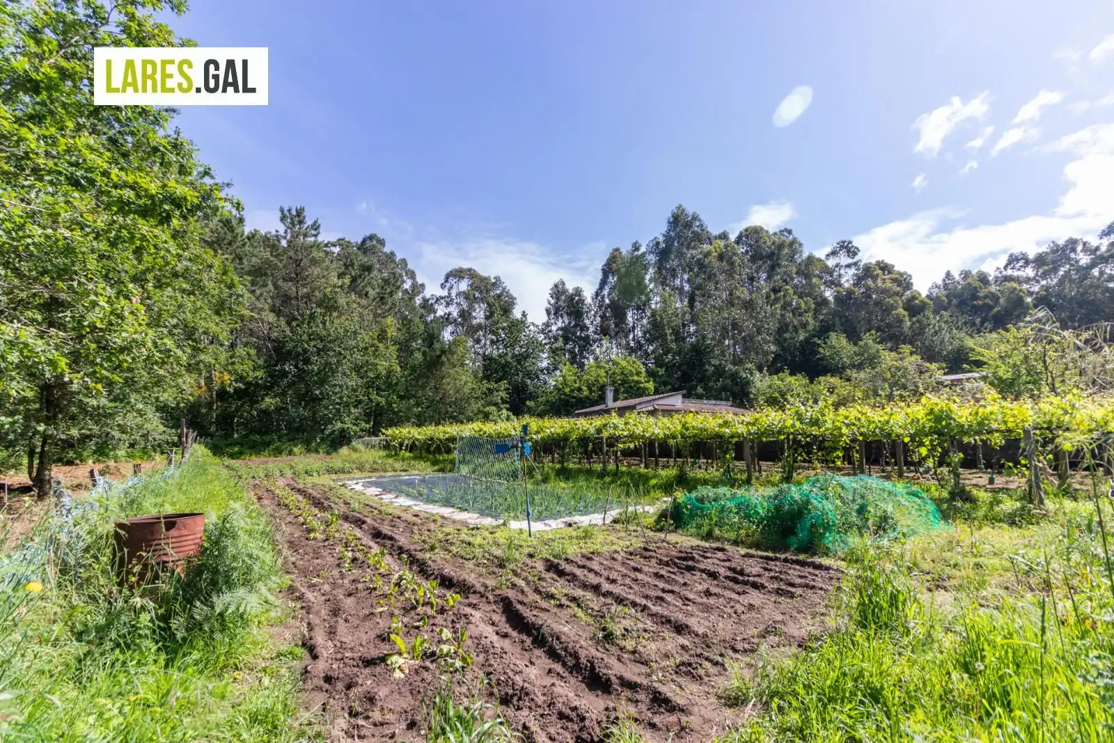 Lands and plots for sale in Rúa Herbello a Magdalena