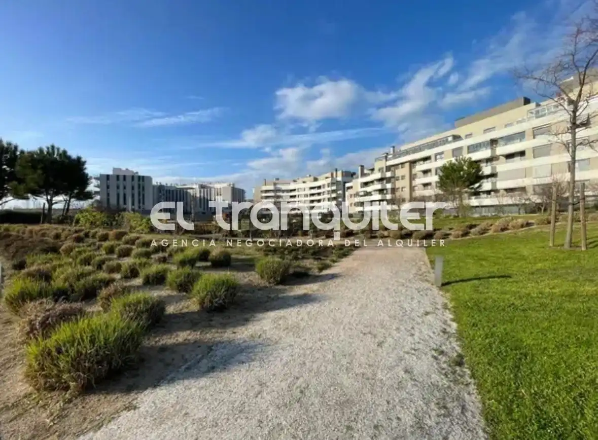 Flat for rent in Calle Francisco Antón, La Garena