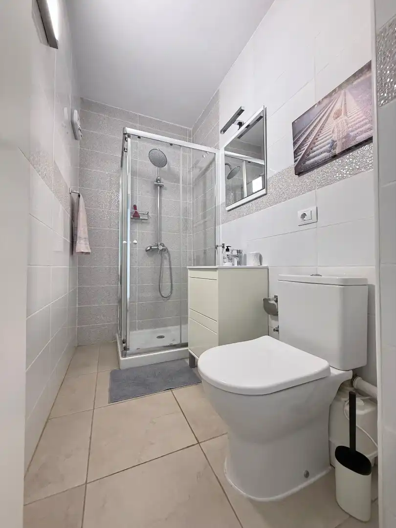 Bathroom of Flat for sale in Adeje  with Terrace, Furnished and Oven