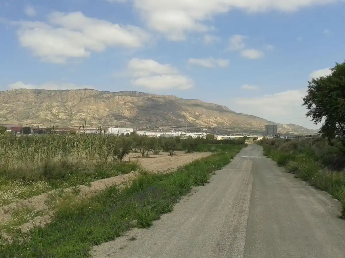 Terreni e lotti in vendita a Alhama de Murcia ciudad, imagen 16
