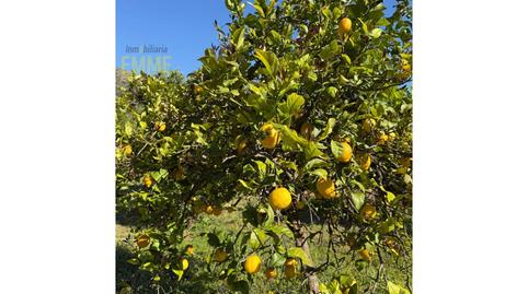 Photo 4 of House or chalet for sale in Jimera de Líbar, Málaga