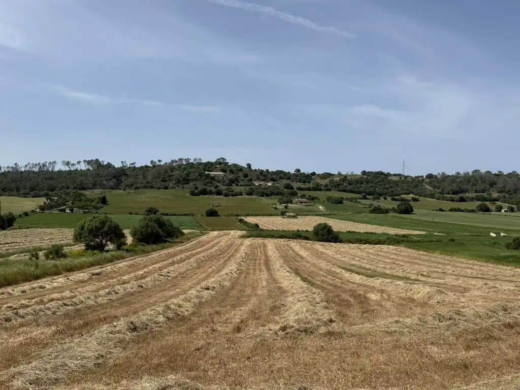 Terreny rústic en venda a Sineu, imagen 17