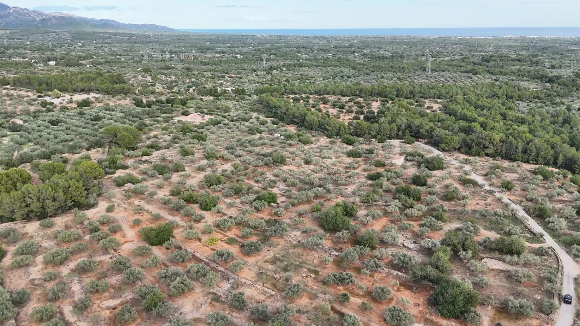 Terreno rustico in vendita a El Perelló, imagen 2