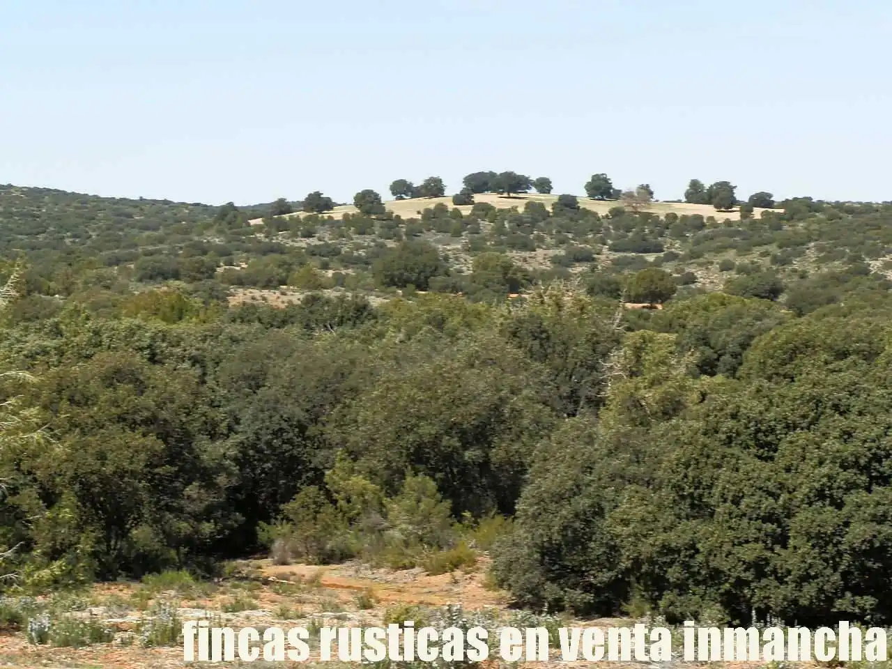 Lands and plots for sale in Ossa de Montiel, imagen 20