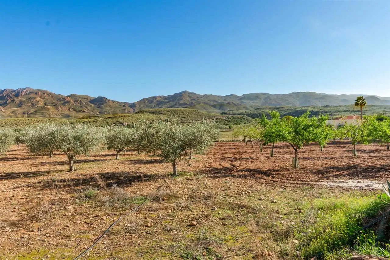 Villa avec piscine à vendre à Turre, imagen 49