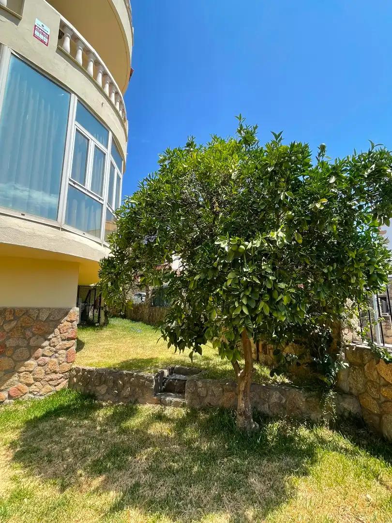Jardí de Casa o xalet en venda en Plasencia amb Aire condicionat, Calefacció i Jardí privat