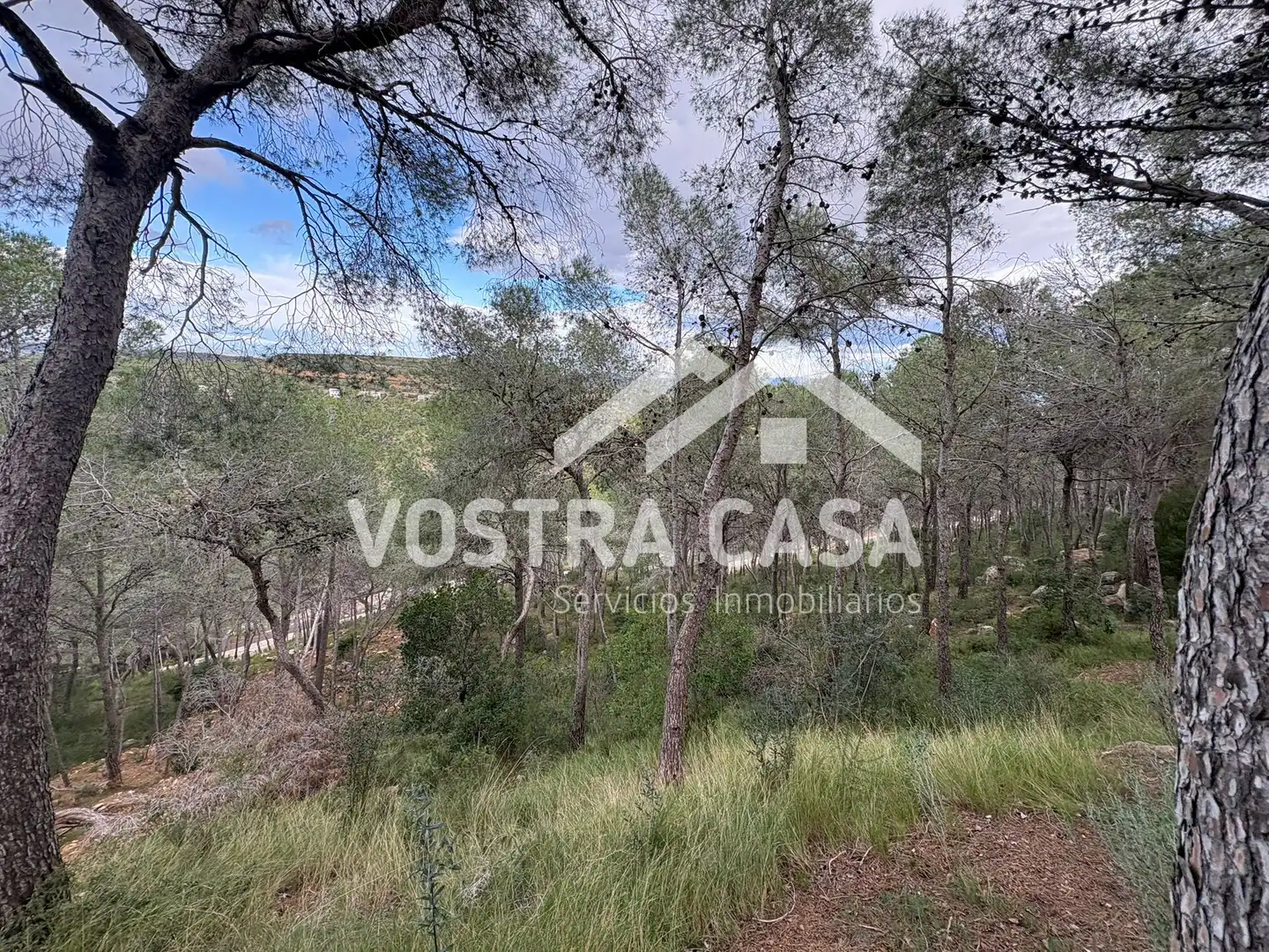 Terreno en venta en Chiva