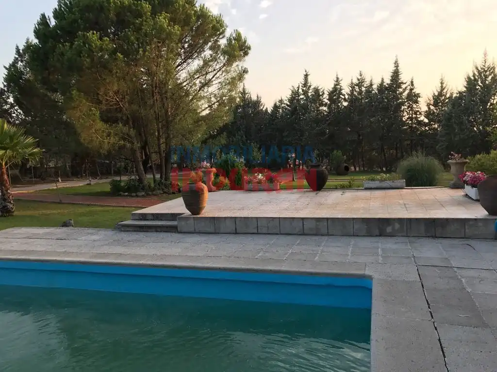 Piscina de Finca rústica en venta en Parrillas