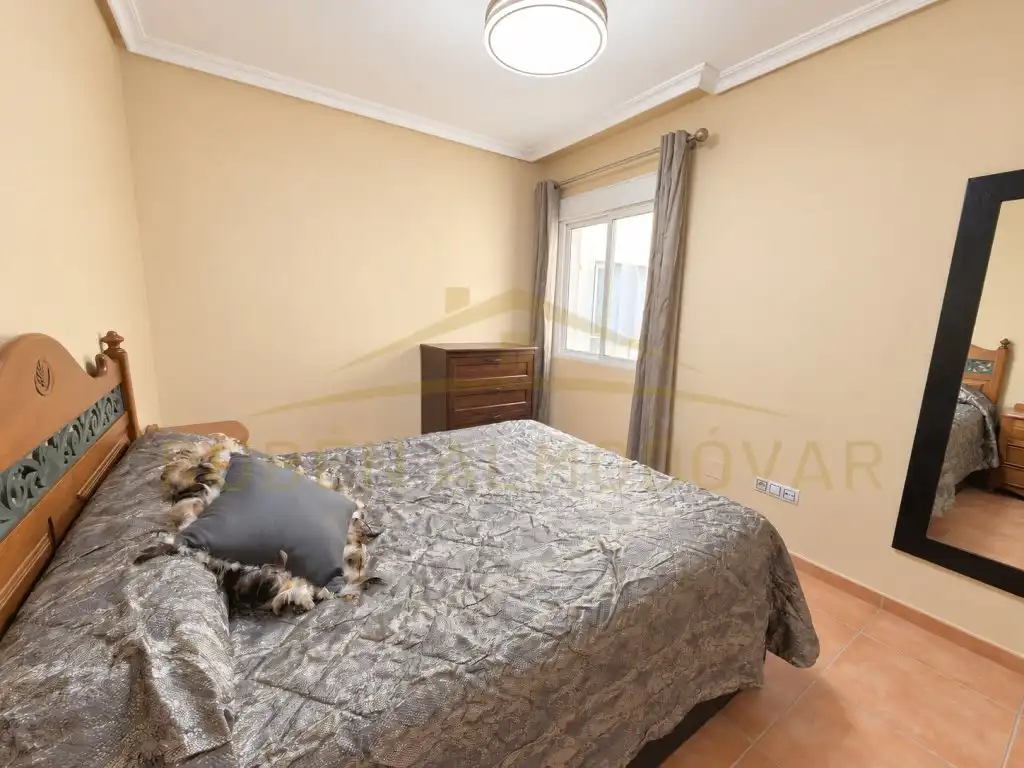 Piso con piscina en venta en Calle Miguel Hernandez 67, imagen 13