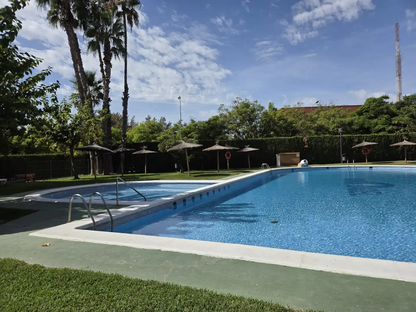 Swimming pool of Flat for sale in Benalúa - Babel