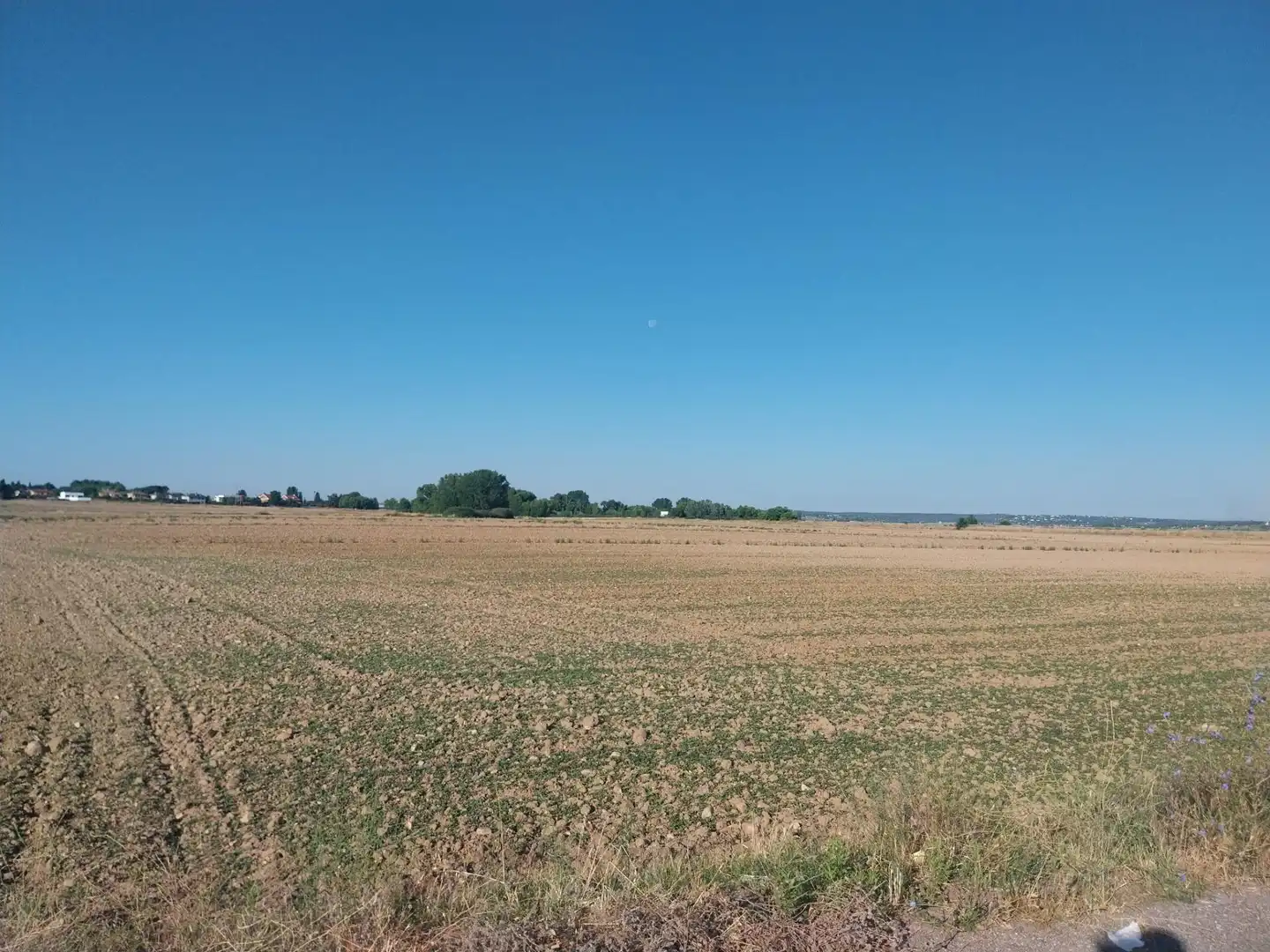 Terreny residencial en venda a Camino Camino de la Carrera, imagen 5