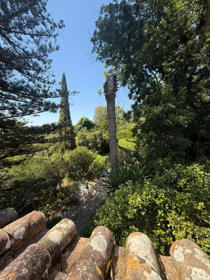 Jardín de Casa o chalet en venta en Algeciras con Jardín privado, Terraza y Piscina