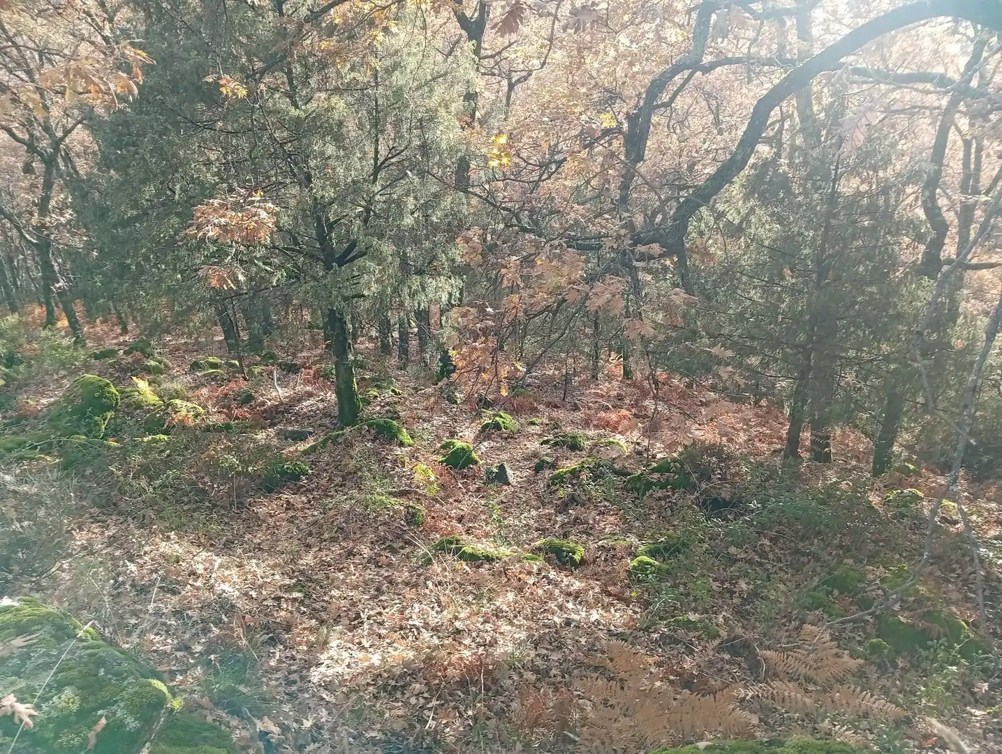 Terreni e lotti in vendita a Villanueva de la Vera, imagen 11