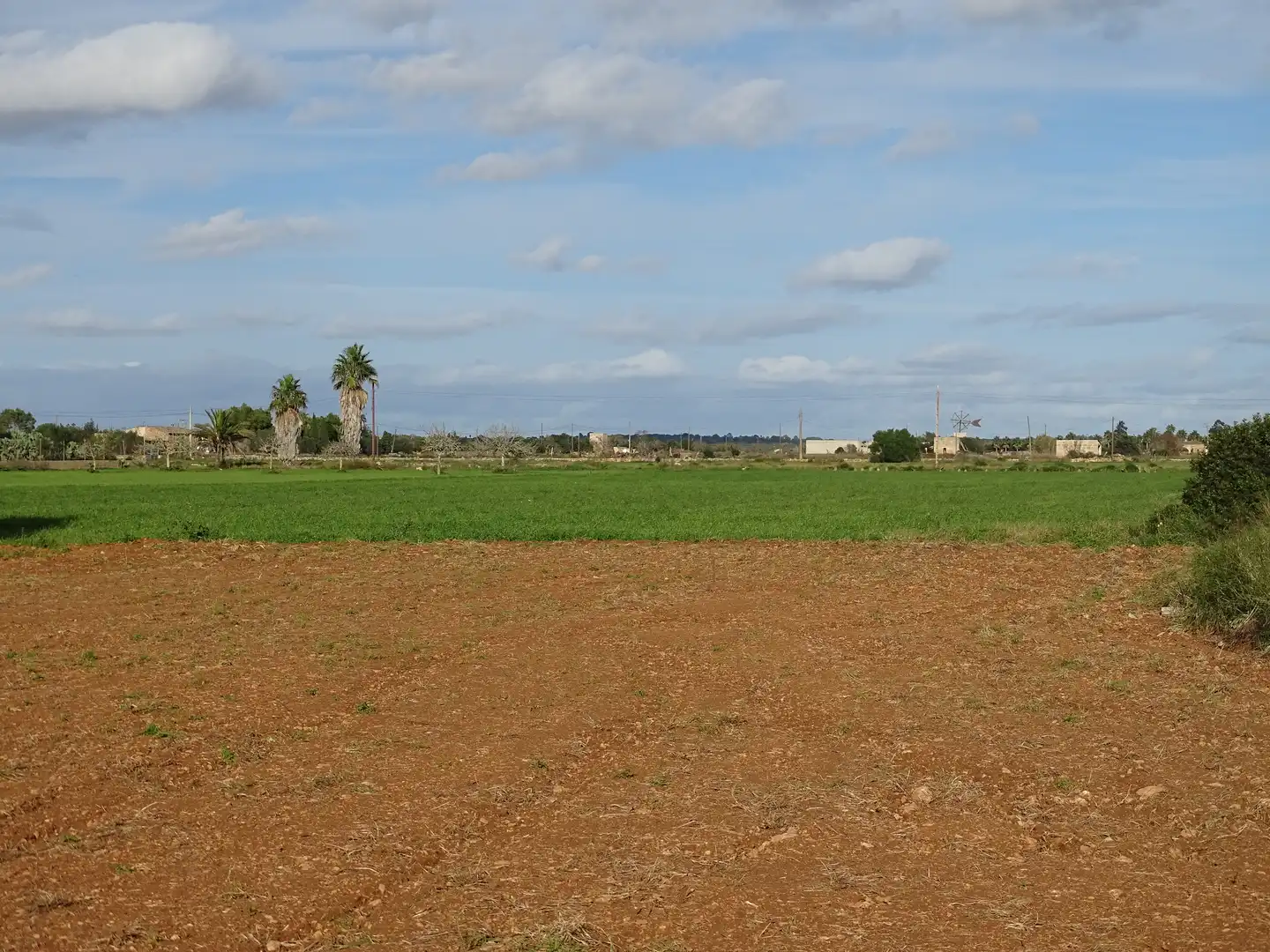 Terreno rustico in vendita a Santanyí Poble, imagen 10