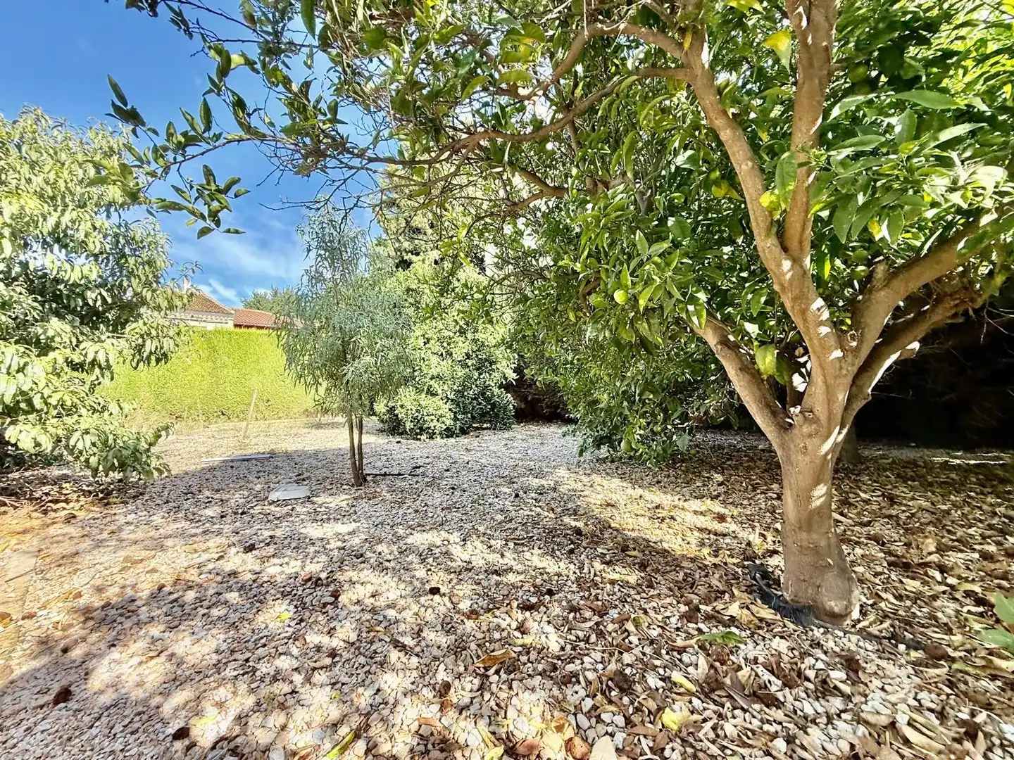 Villa avec terrasse à vendre à Calle Calle Luz 60, imagen 20