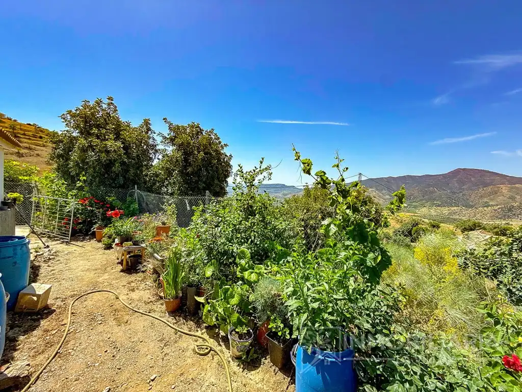 Casa rústica en venta en Poligono 2 Paraje 249 Teja, imagen 33