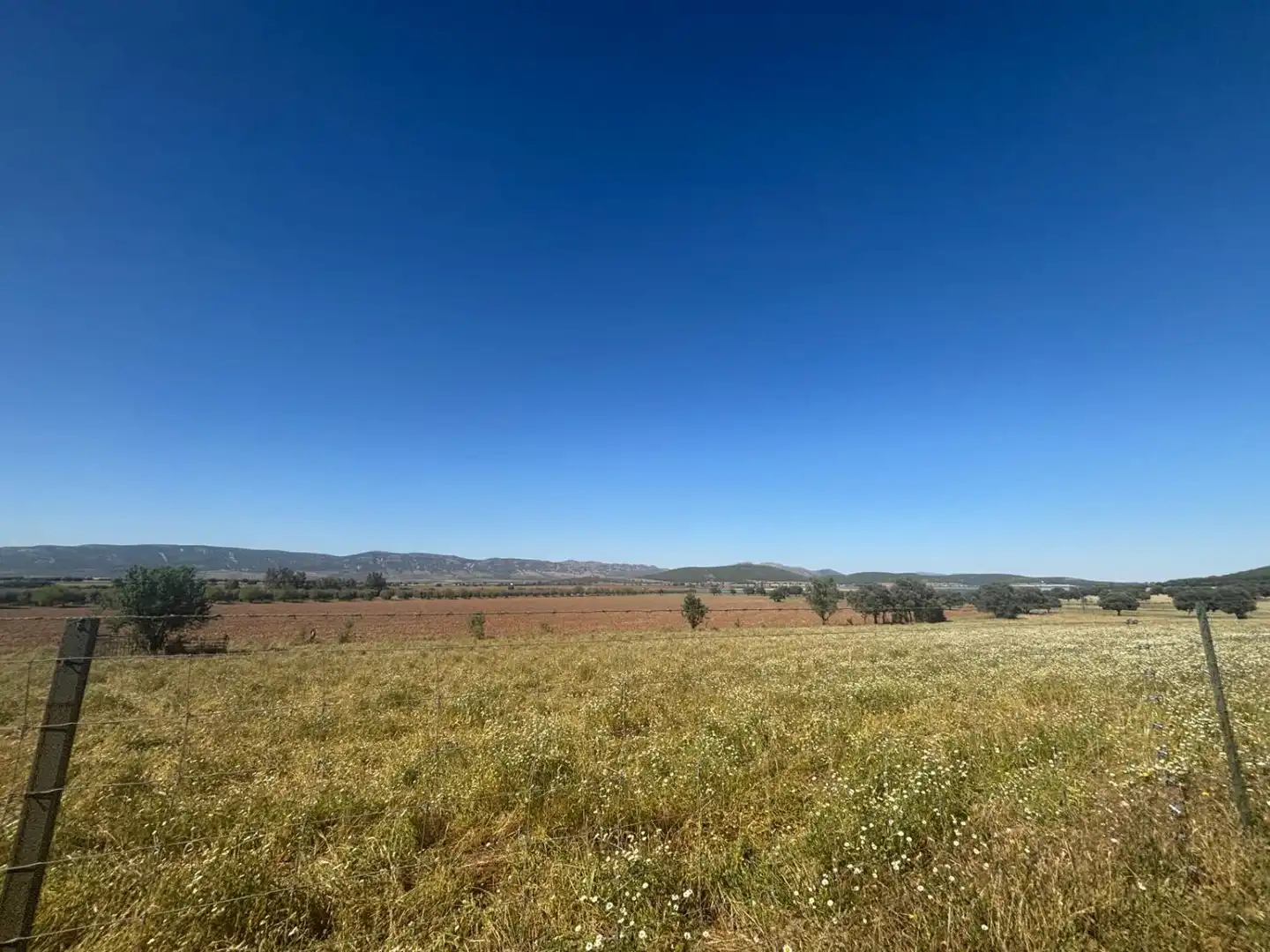 Finca rústica en venda en Ciudad Real
