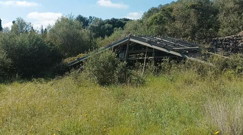 Foto 5 de Terreno en venta en Diseminado Poligono 12, 203, Alaior poble, Illes Balears