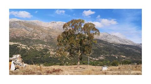 Photo 5 of House or chalet for sale in Jimera de Líbar, Málaga