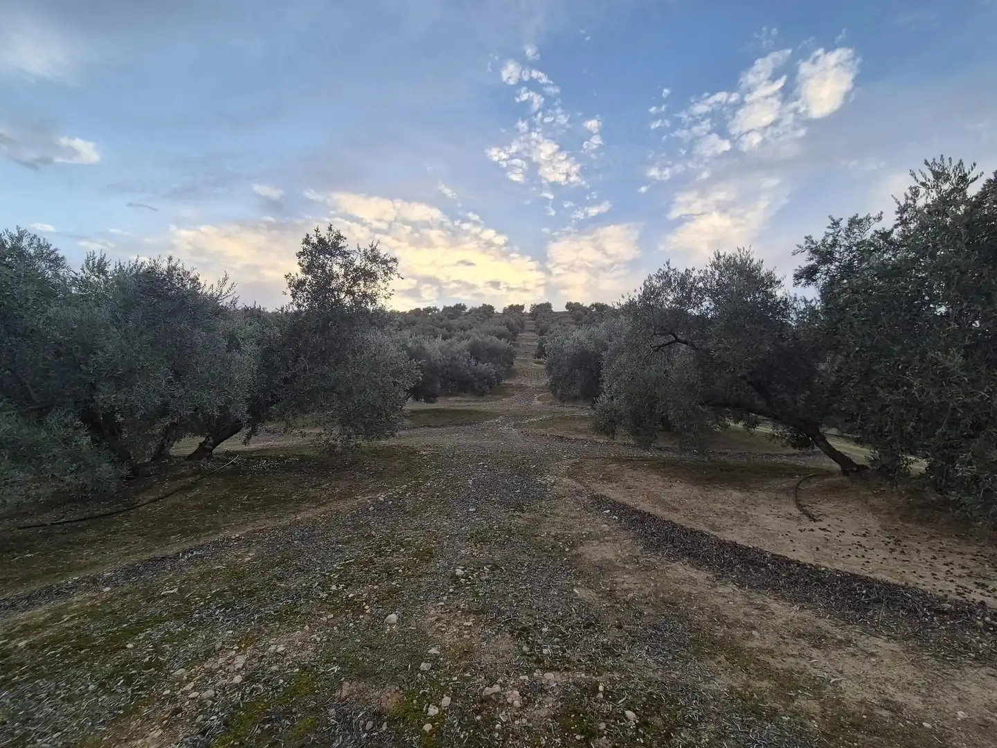 Rural land for sale in Huétor Tájar, imagen 29